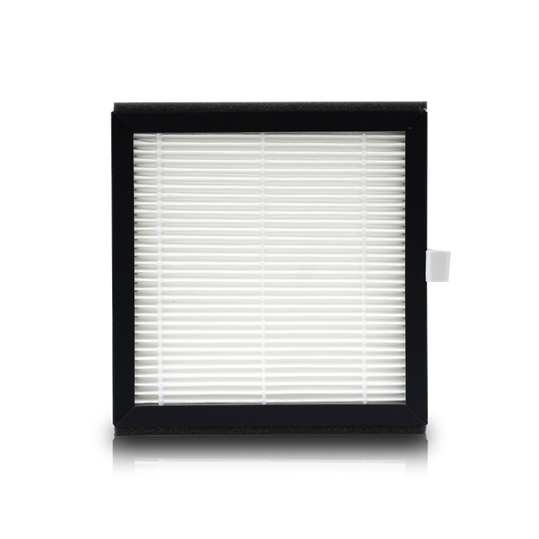 2-in-1 Air Purifier & Dehumidifier Filter