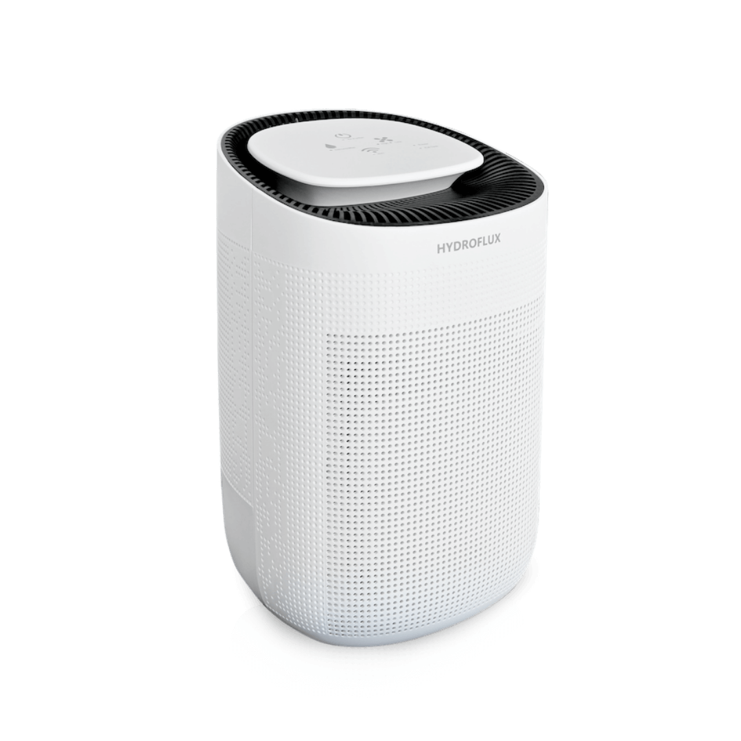 Molekule dehumidifier deals