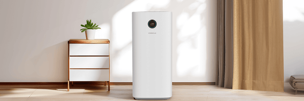How to Choose the Best Air Purifier for Pet Hair?