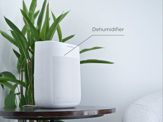 Dehumidification