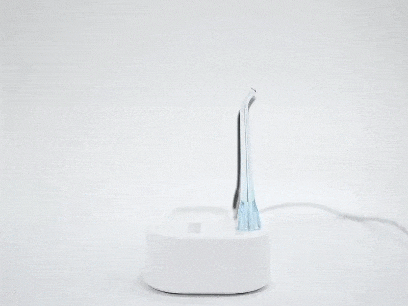 Water Flosser